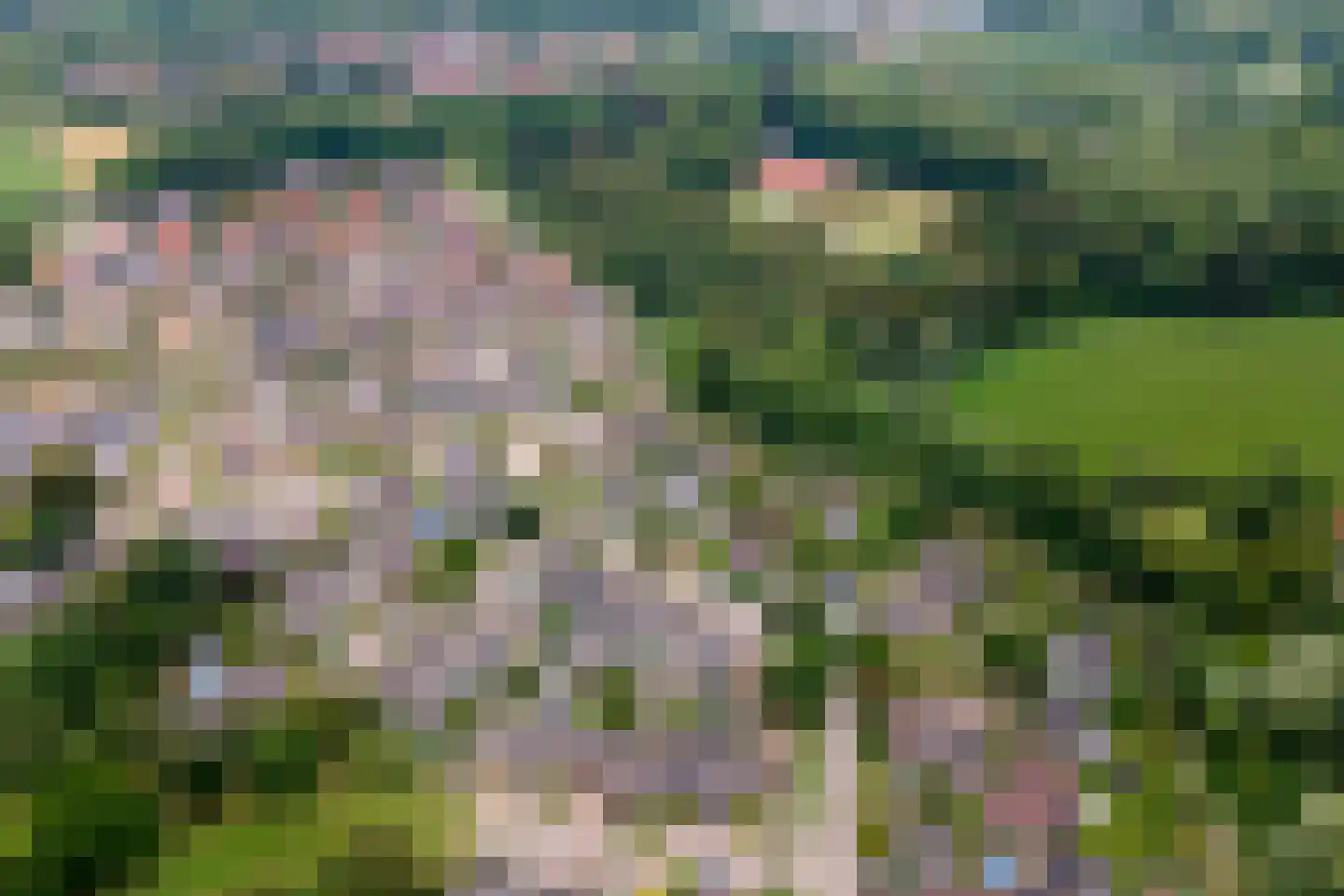 Buitenkoppel 5 Buren thumbnail 43