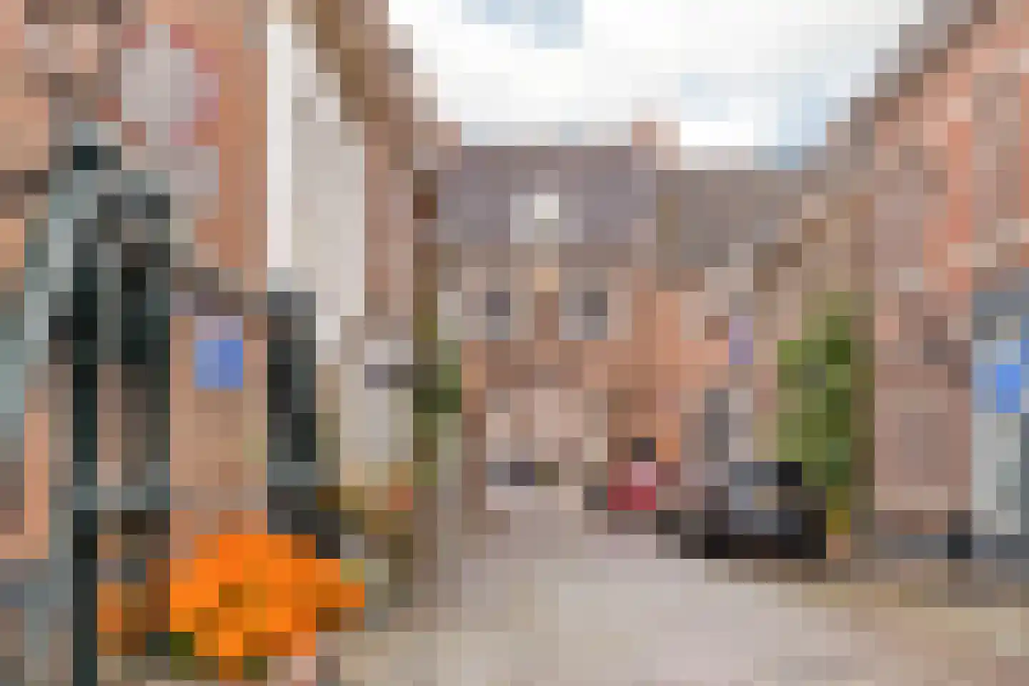 Buitenkoppel 5 Buren thumbnail 47