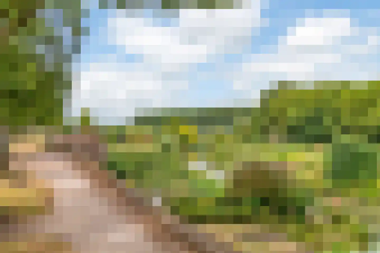 Buitenkoppel 5 Buren thumbnail 48