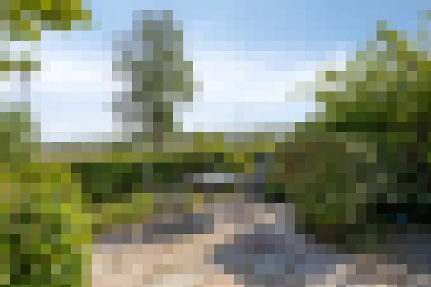 Buitenkruier 5 Stompetoren thumbnail 13