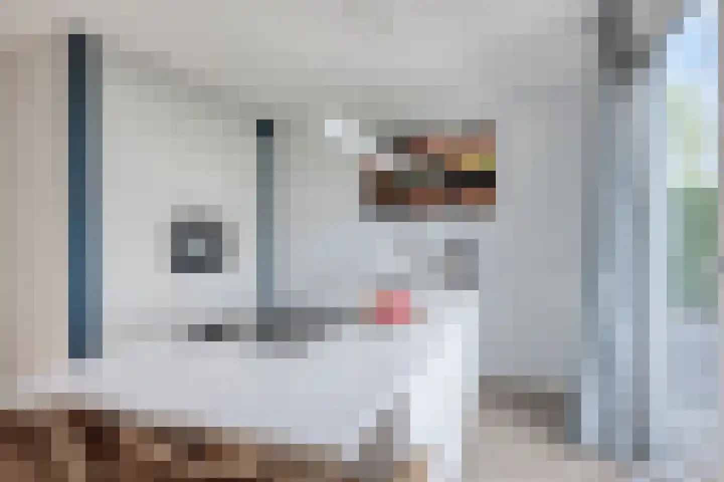 Buitenkruier 5 Stompetoren thumbnail 15