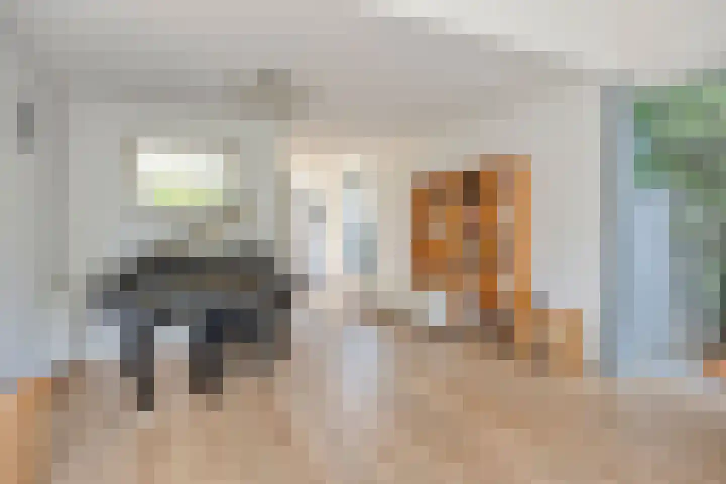 Buitenkruier 5 Stompetoren thumbnail 20