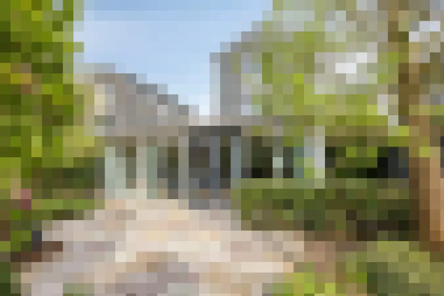 Buitenkruier 5 Stompetoren thumbnail 25