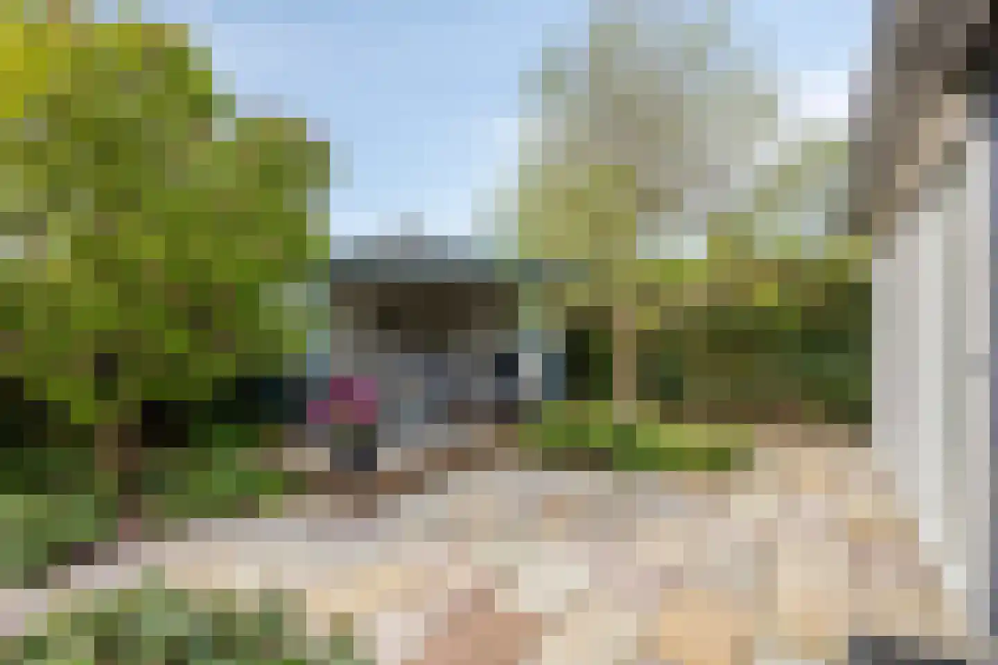 Buitenkruier 5 Stompetoren thumbnail 26