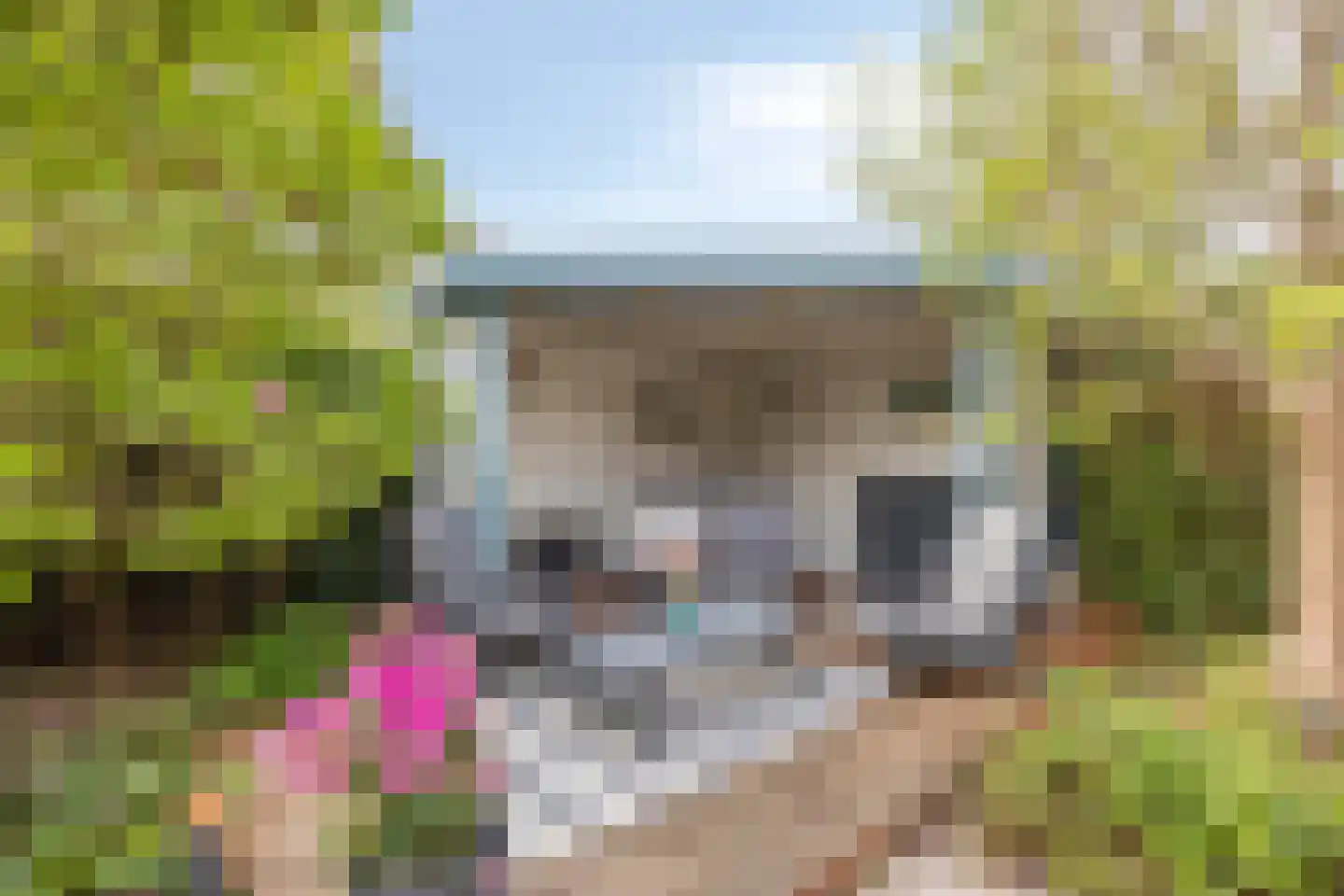 Buitenkruier 5 Stompetoren thumbnail 27