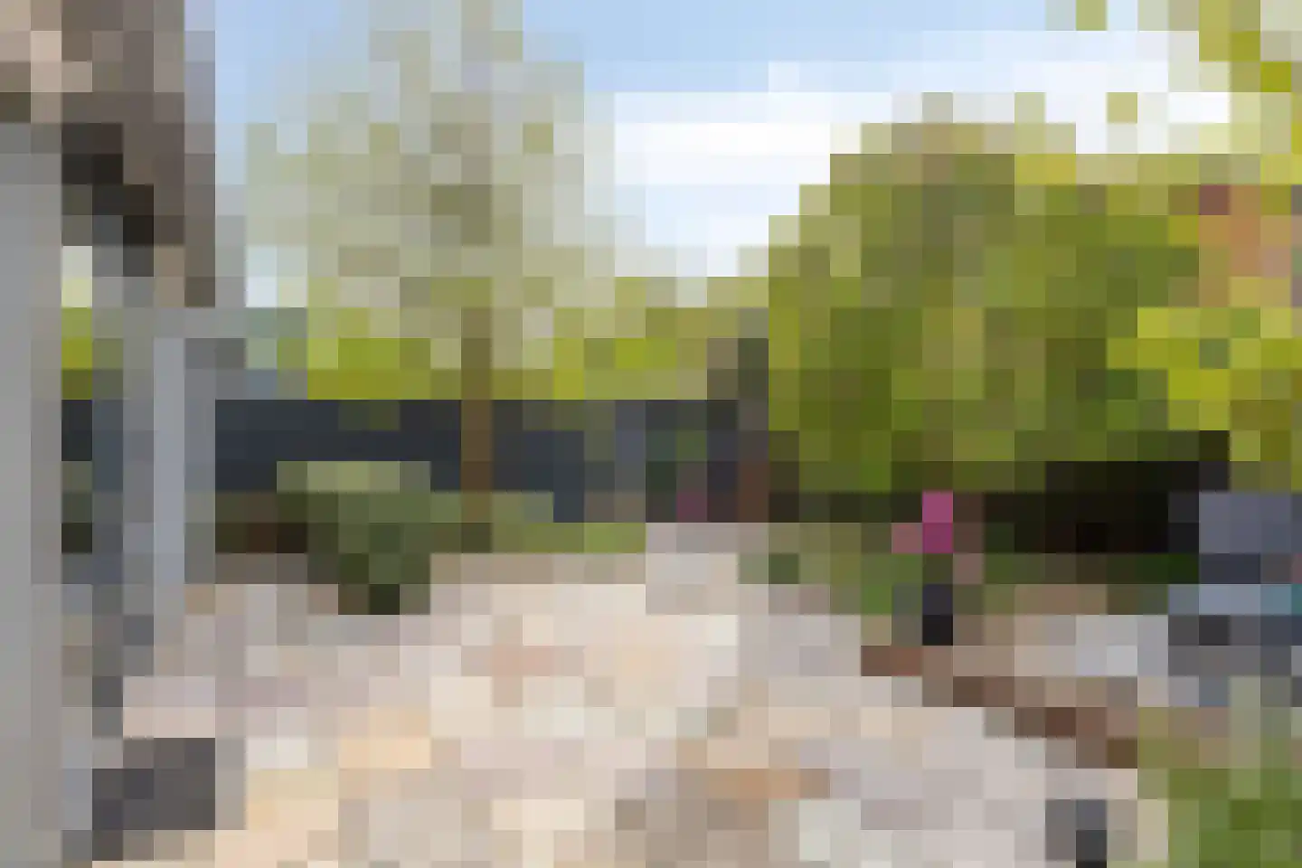 Buitenkruier 5 Stompetoren thumbnail 28