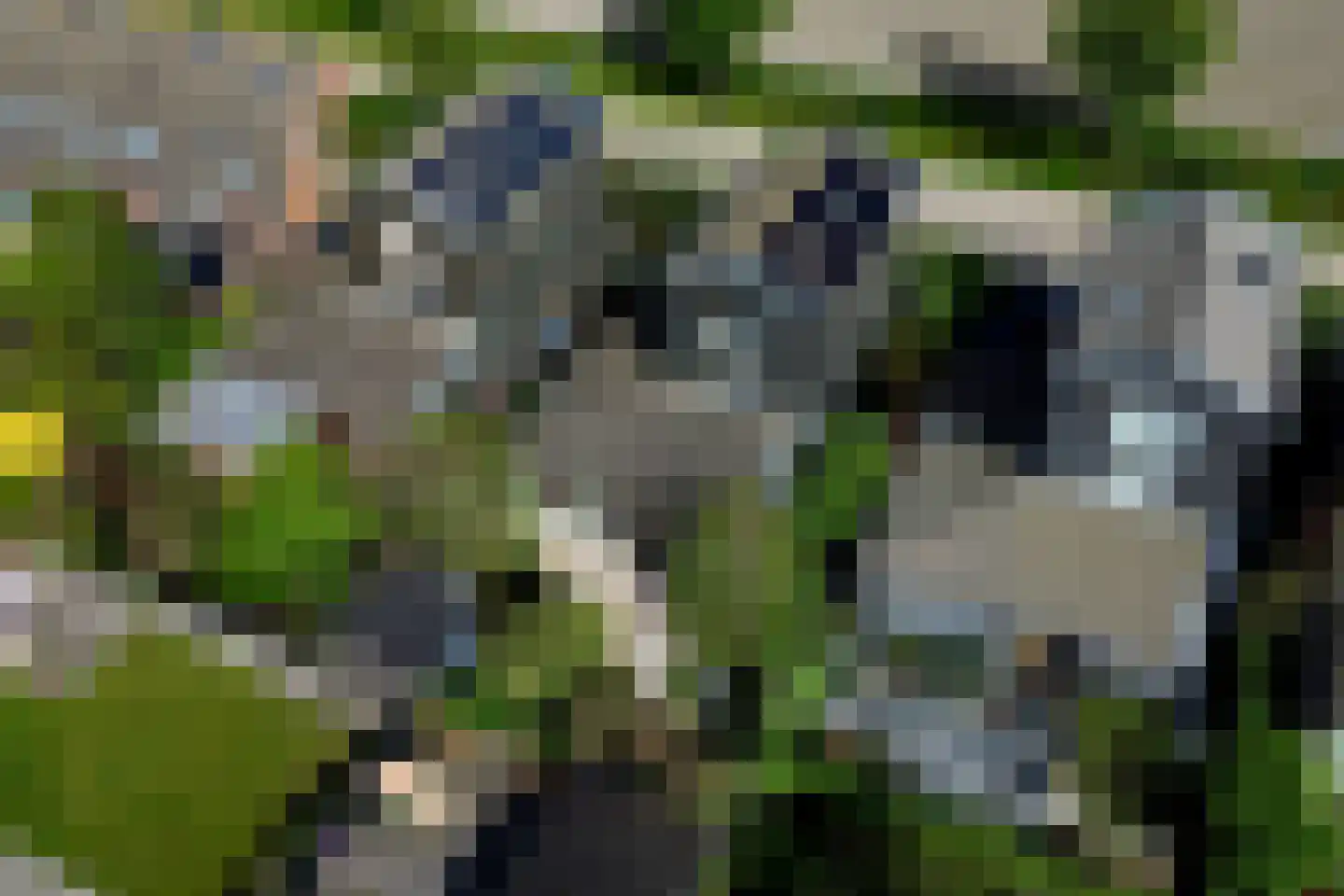 Buitenkruier 5 Stompetoren thumbnail 30