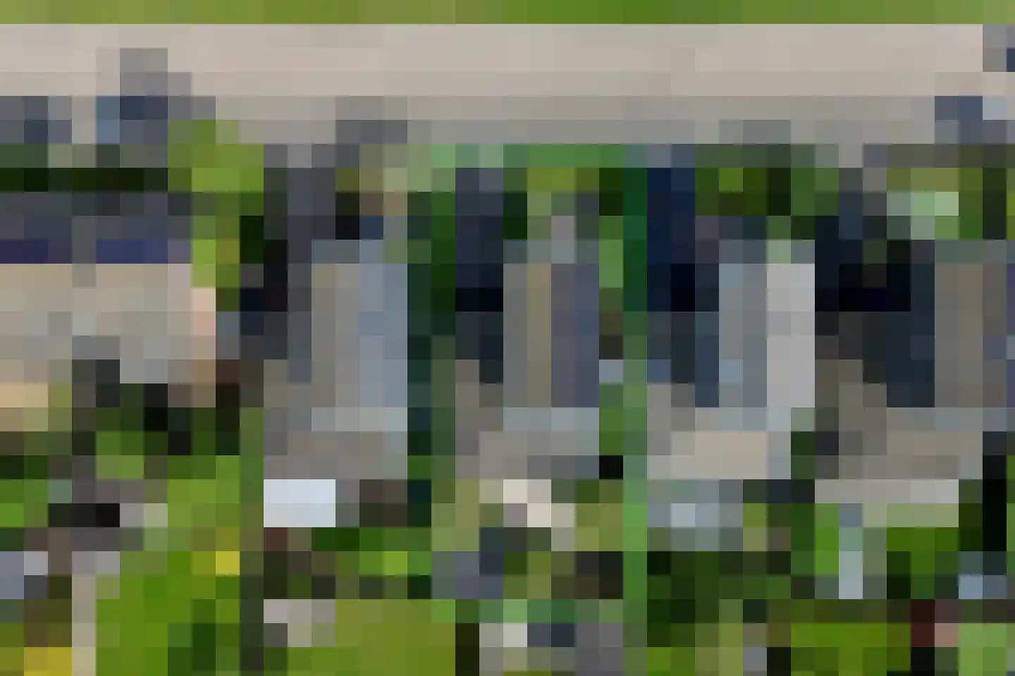 Buitenkruier 5 Stompetoren thumbnail 31