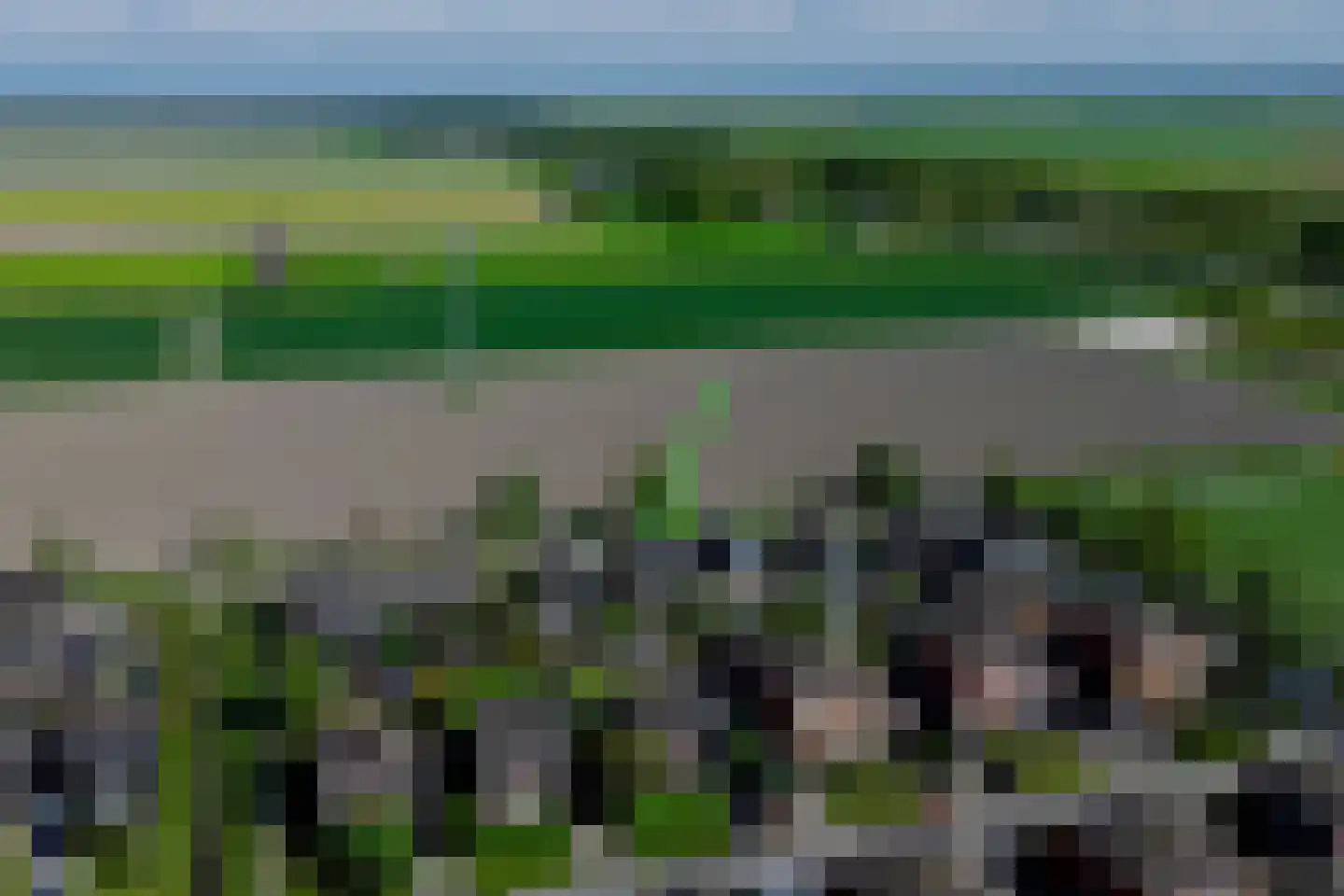 Buitenkruier 5 Stompetoren thumbnail 32