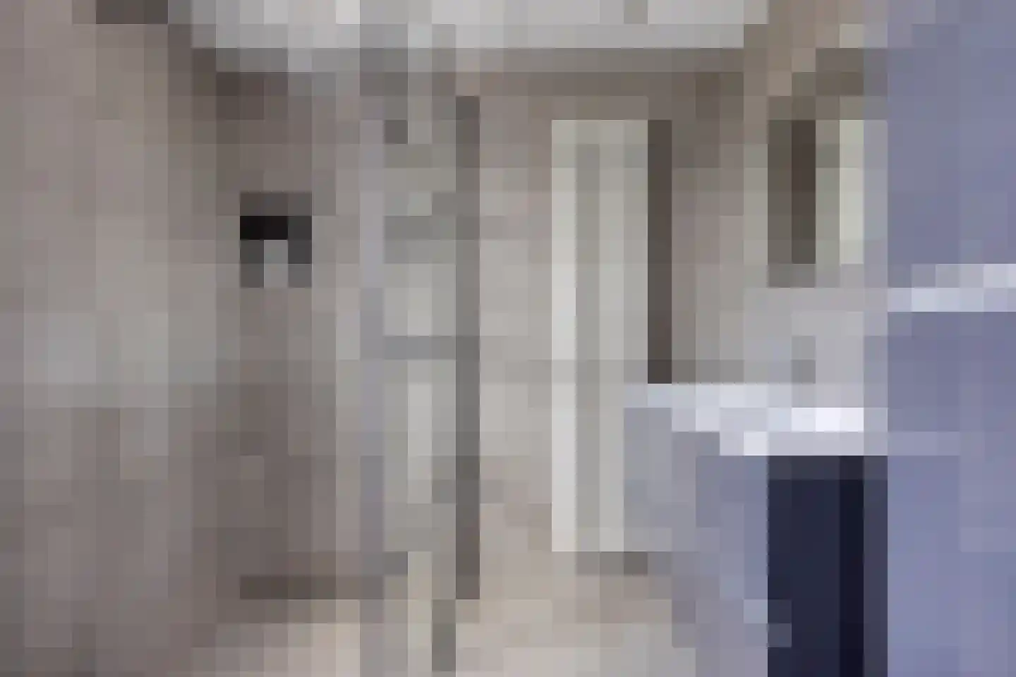 Buitenkruier 5 Stompetoren thumbnail 37