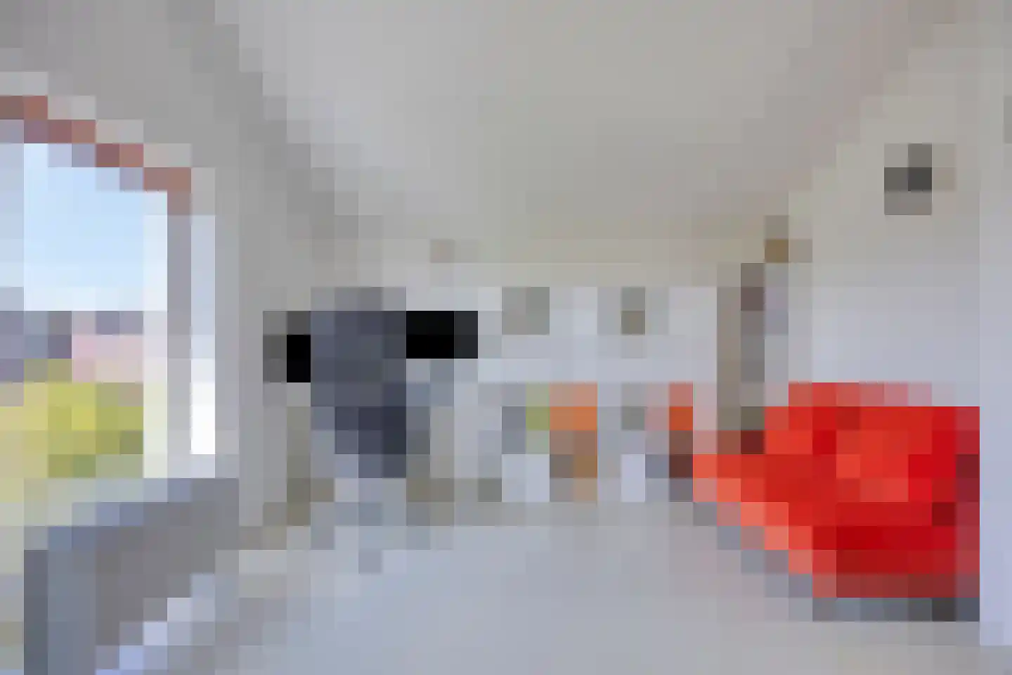 Buitenkruier 5 Stompetoren thumbnail 41