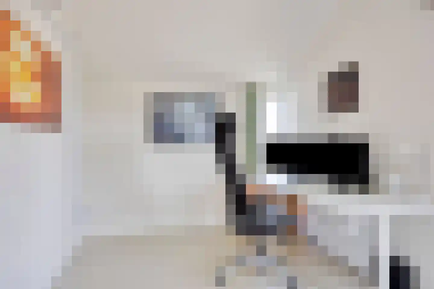 Buitenkruier 5 Stompetoren thumbnail 42
