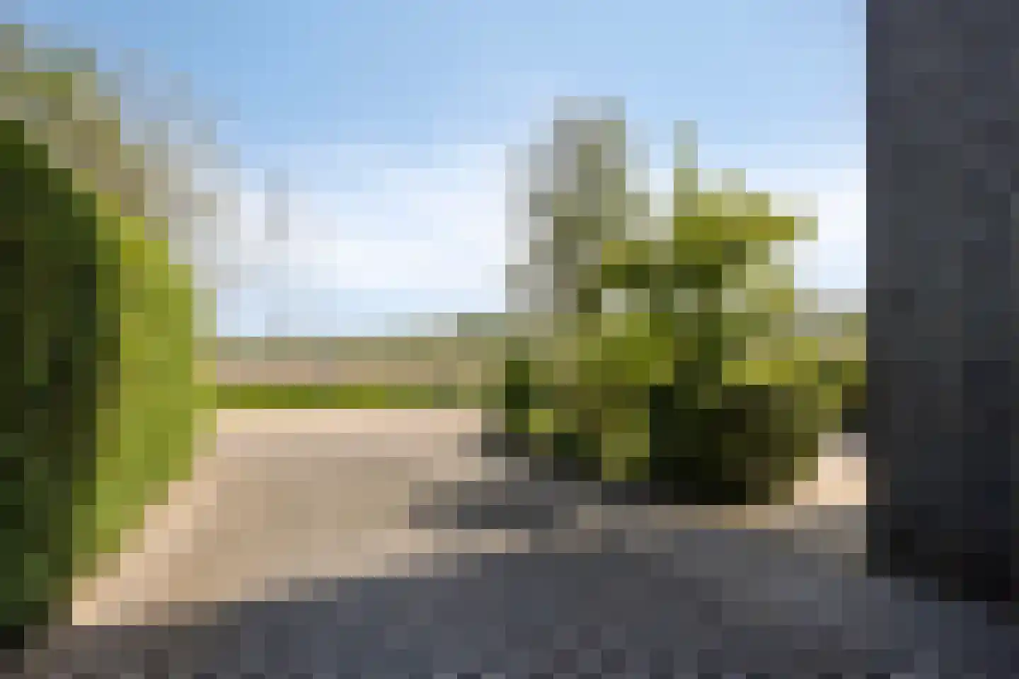 Buitenkruier 5 Stompetoren thumbnail 49