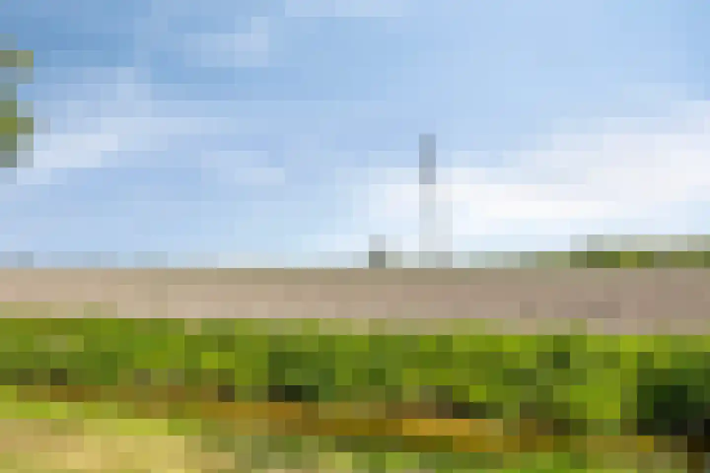 Buitenkruier 5 Stompetoren thumbnail 50