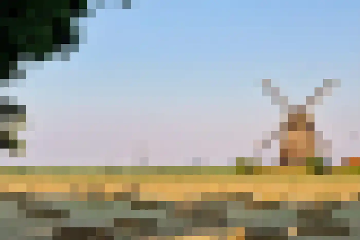 Buitenkruier 5 Stompetoren thumbnail 51