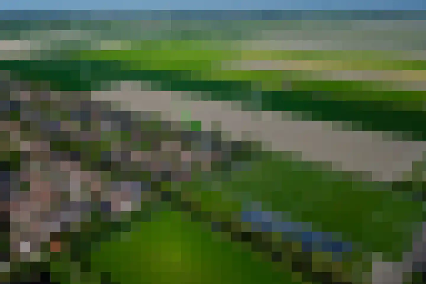 Buitenkruier 5 Stompetoren thumbnail 53