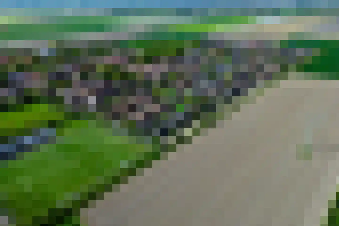 Buitenkruier 5 Stompetoren thumbnail 54