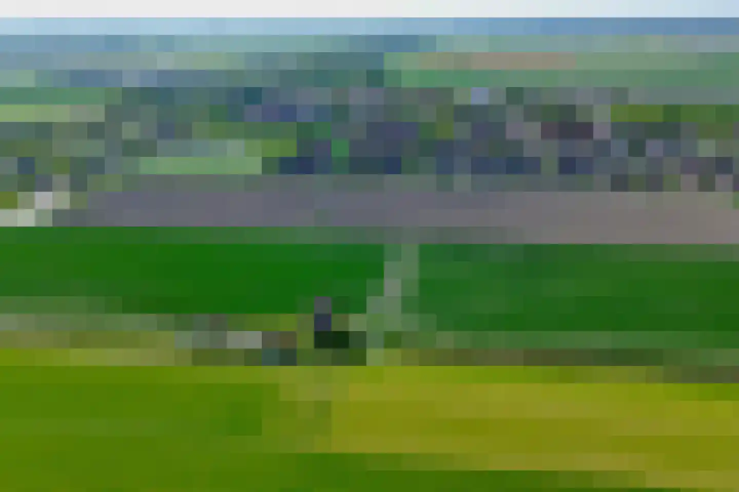 Buitenkruier 5 Stompetoren thumbnail 56