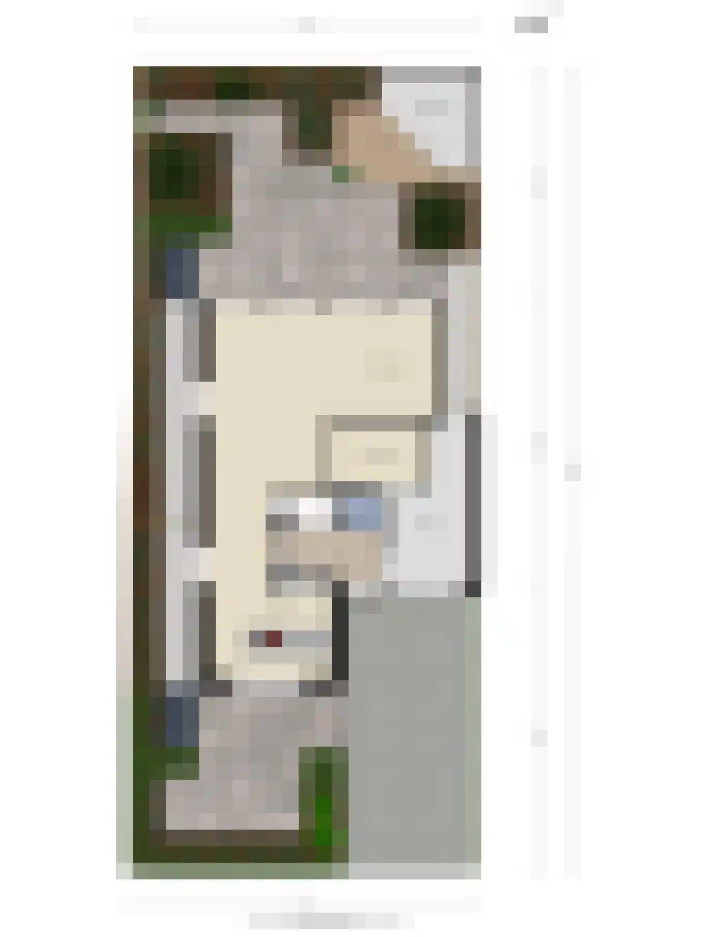 Buitenkruier 5 Stompetoren thumbnail 57