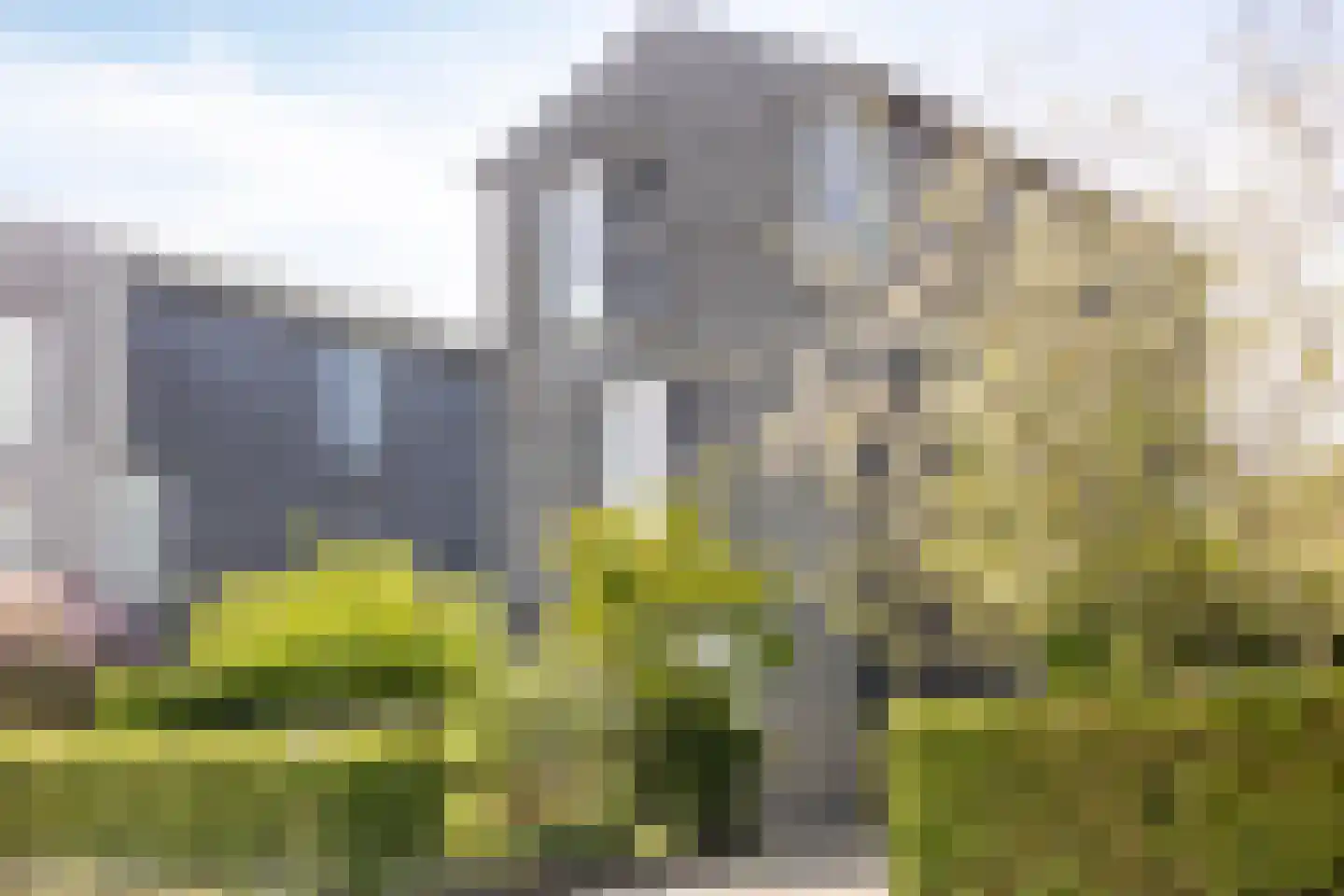 Buitenkruier 5 Stompetoren thumbnail 7