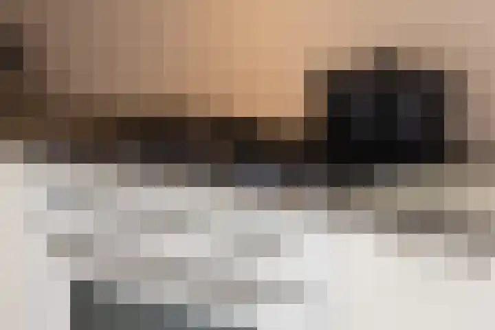 Buitenkruier 64 Stompetoren thumbnail 18