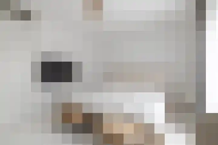 Buitenkruier 64 Stompetoren thumbnail 22