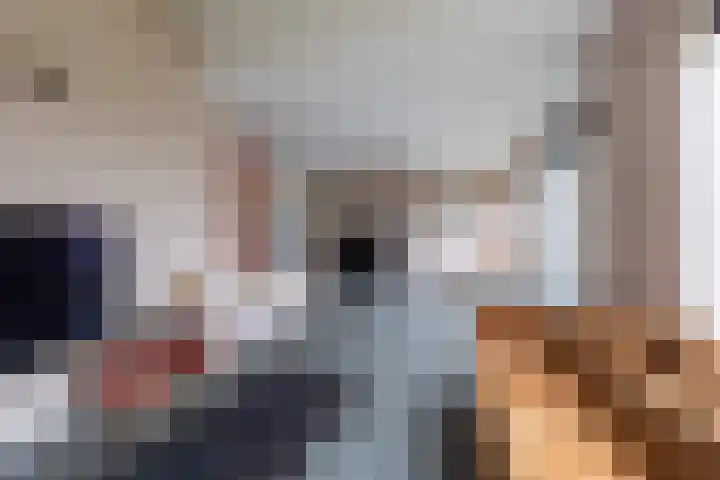 Buitenkruier 64 Stompetoren thumbnail 4