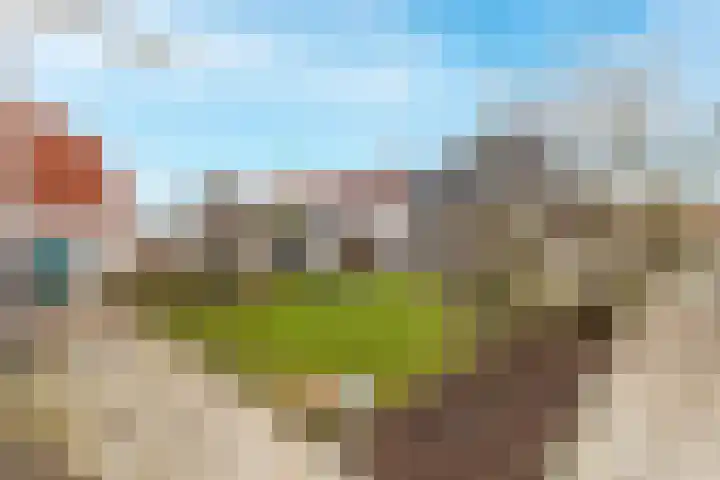 Buitenkruier 64 Stompetoren thumbnail 42