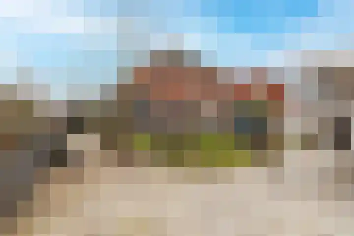 Buitenkruier 64 Stompetoren thumbnail 43