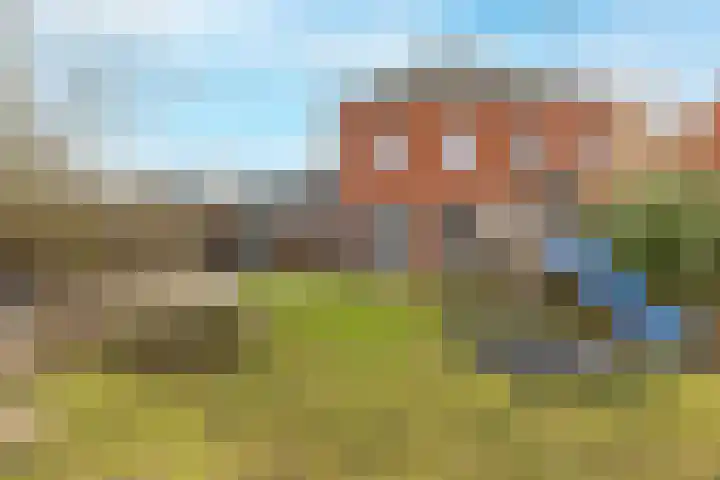 Buitenkruier 64 Stompetoren thumbnail 44