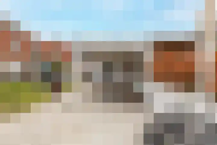 Buitenkruier 64 Stompetoren thumbnail 45