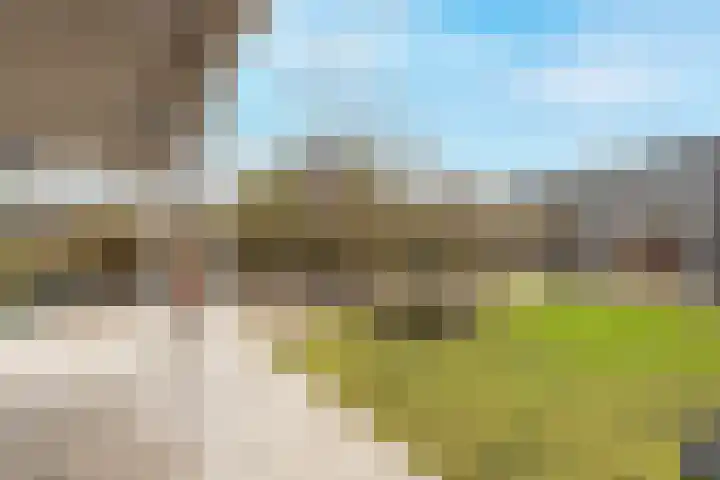 Buitenkruier 64 Stompetoren thumbnail 46