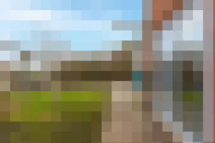 Buitenkruier 64 Stompetoren thumbnail 47