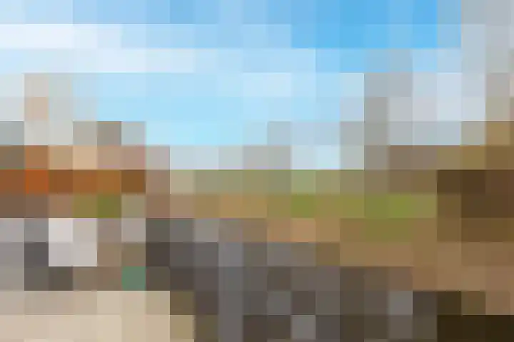 Buitenkruier 64 Stompetoren thumbnail 48
