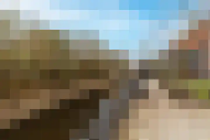 Buitenkruier 64 Stompetoren thumbnail 49