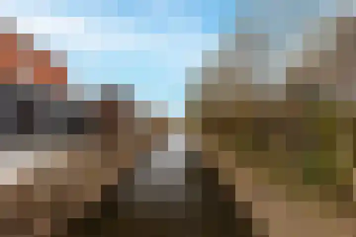 Buitenkruier 64 Stompetoren thumbnail 50