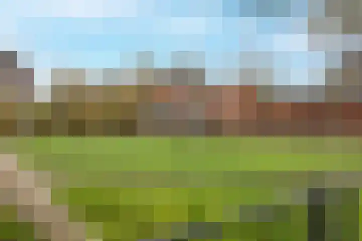 Buitenkruier 64 Stompetoren thumbnail 51