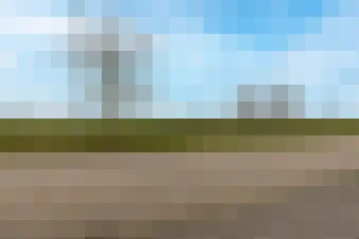Buitenkruier 64 Stompetoren thumbnail 53