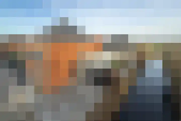 Buitenkruier 64 Stompetoren thumbnail 54