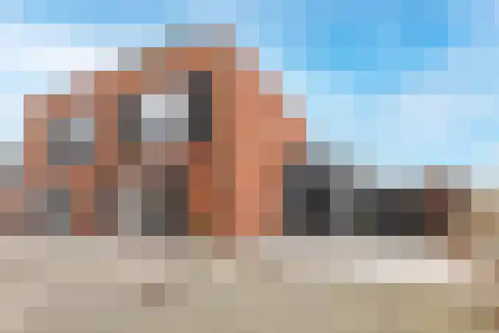 Buitenkruier 64 Stompetoren thumbnail 55
