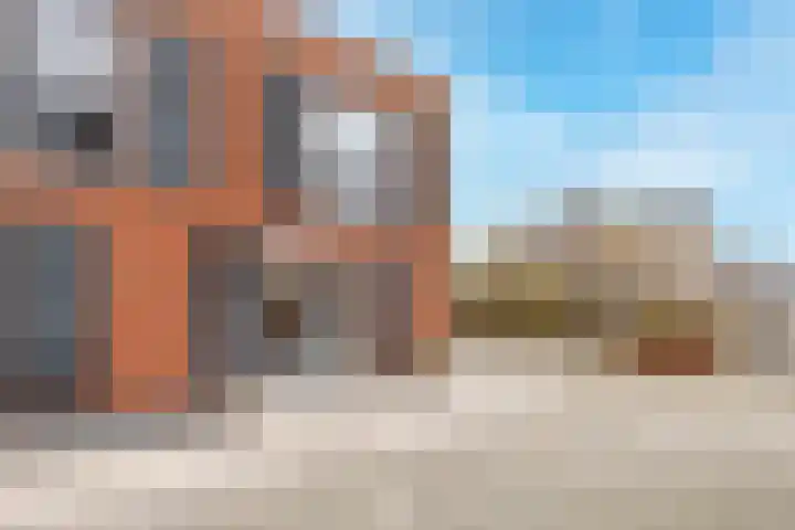 Buitenkruier 64 Stompetoren thumbnail 56