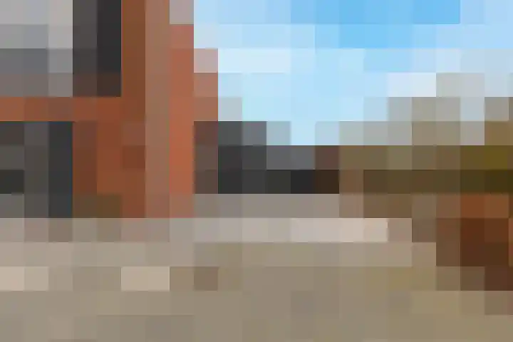 Buitenkruier 64 Stompetoren thumbnail 57