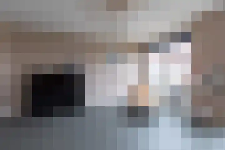 Buitenkruier 64 Stompetoren thumbnail 6