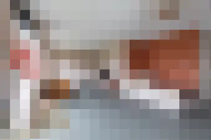 Buitenkruier 64 Stompetoren thumbnail 8