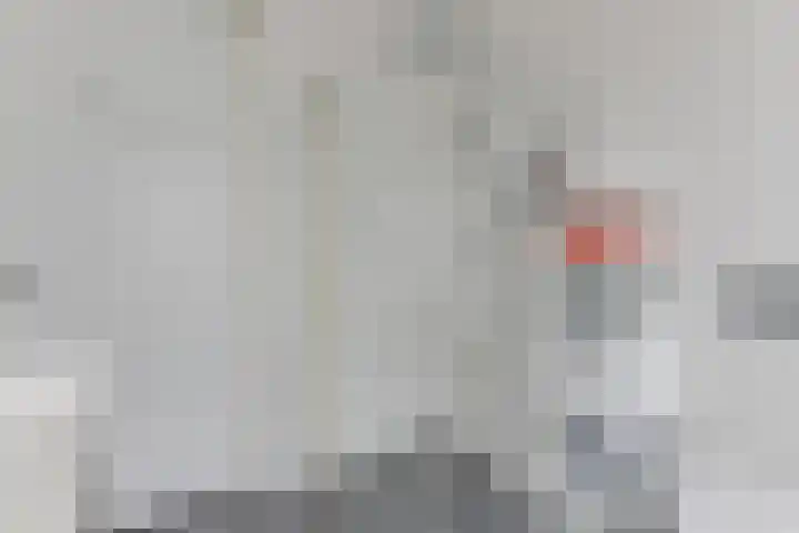 Buitenkruier 65 Stompetoren thumbnail 28