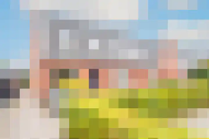 Buitenkruier 65 Stompetoren thumbnail 4