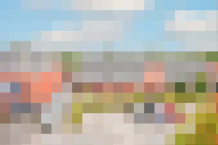 Buitenkruier 65 Stompetoren thumbnail 49