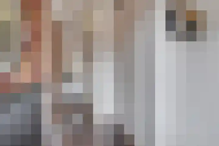 Buitenkruier 65 Stompetoren thumbnail 8