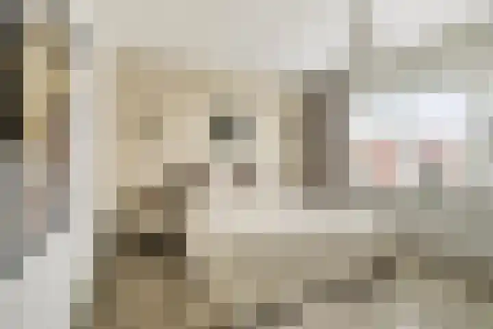 Buitenkruier 83 Stompetoren thumbnail 20