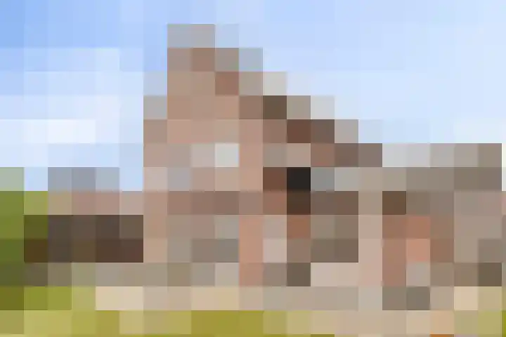 Buitenkruier 83 Stompetoren thumbnail 34